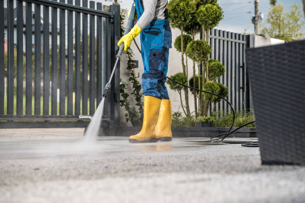 Best Affordable Power Washing  in Rhinelander, WI