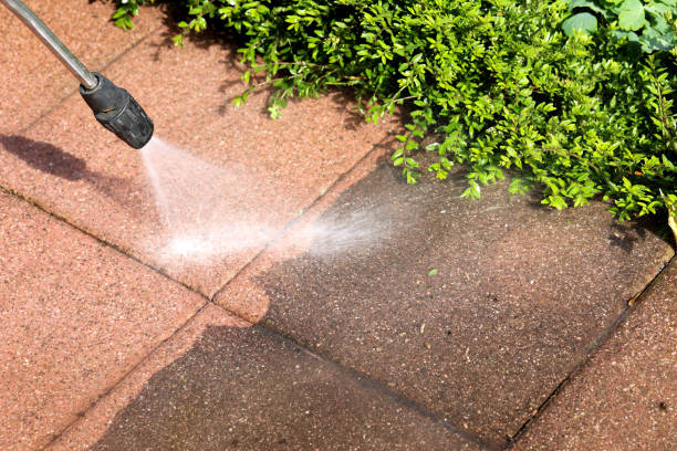 Best Residential Pressure Washing Services  in Rhinelander, WI