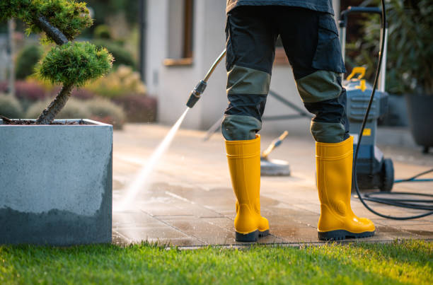 Best Power Washing Near Me  in Rhinelander, WI
